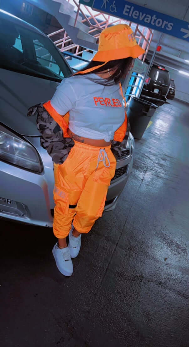 DINO CARGOS
